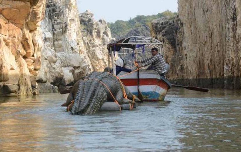 Hrithik fights 20 feet crocodile in Mohenjo Daro