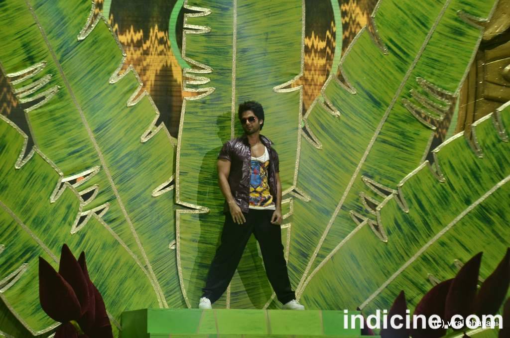 Shahid IIFA 2012 Performance (Photos)